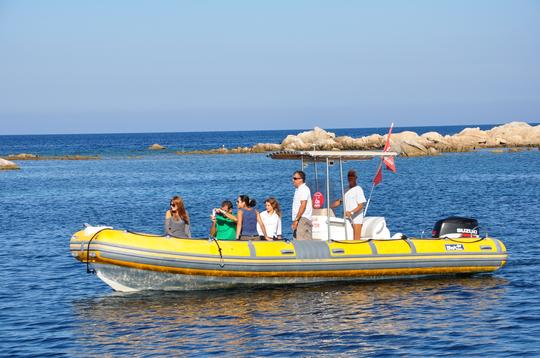 taxi boat to Asinara noleggiare le bici